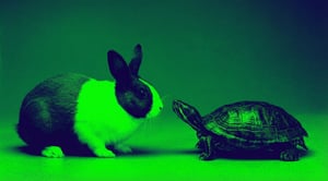 Email Image Sizing (900 x 500 px) (32)